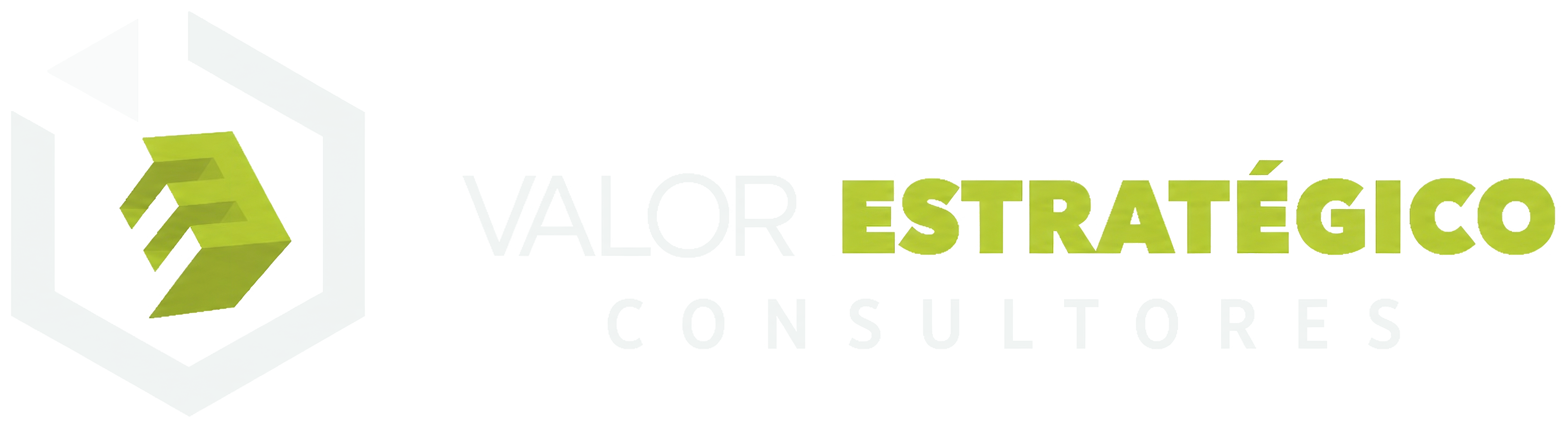 Valor Estratégico Consultores
